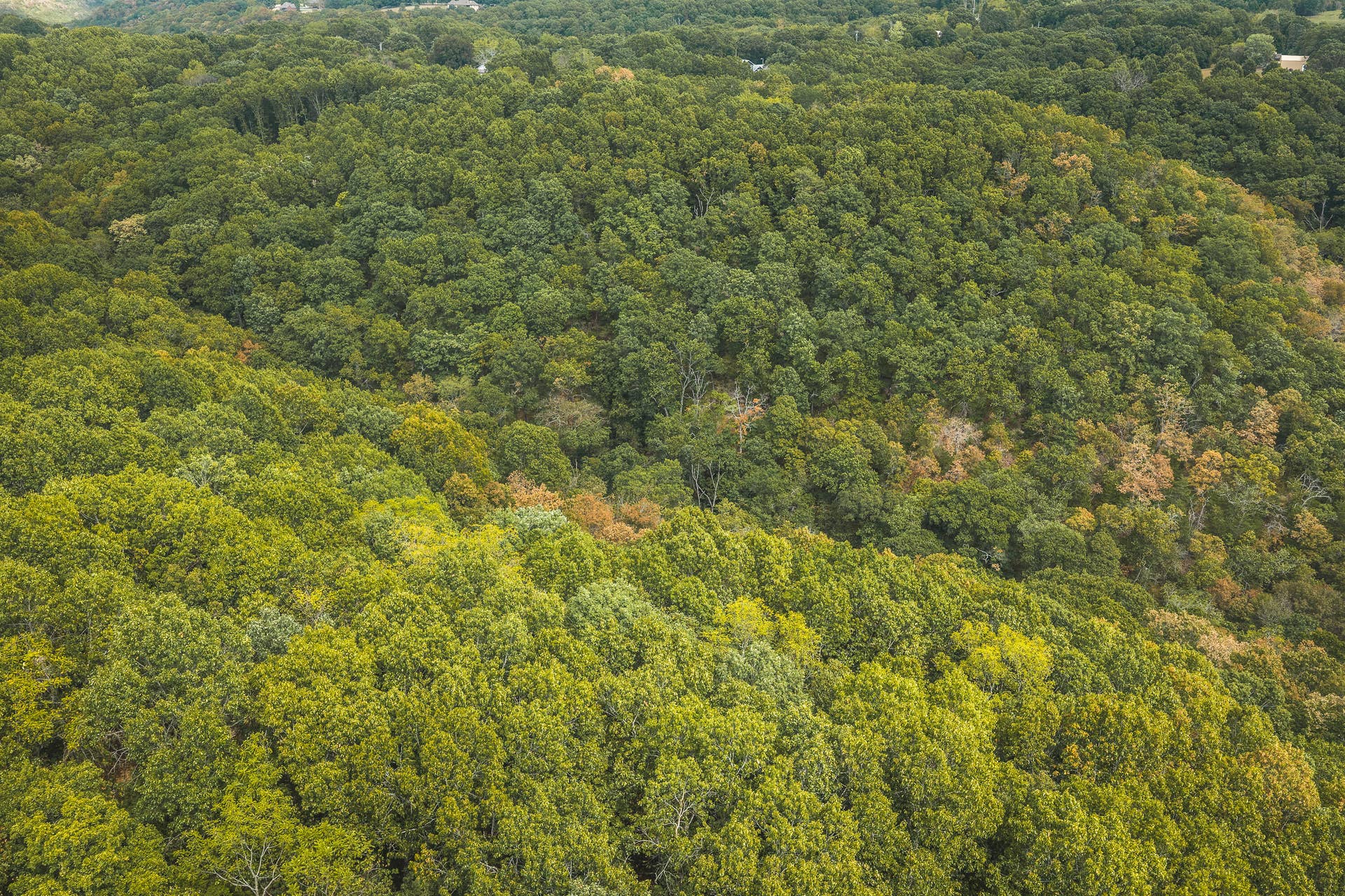 1190 Us Highway 160, Reeds Spring, MO 65737 DJI_20260916144312_0161_D