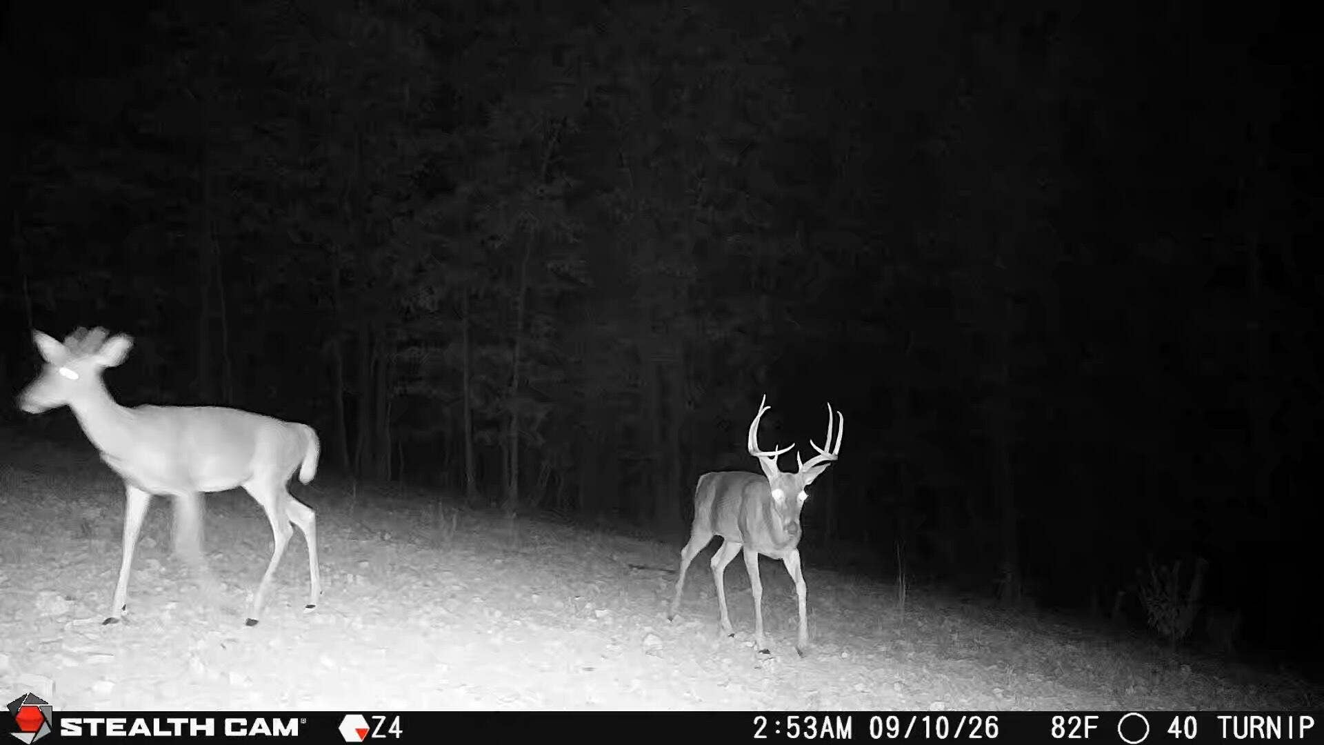 1190 Us Highway 160, Reeds Spring, MO 65737 1000050054