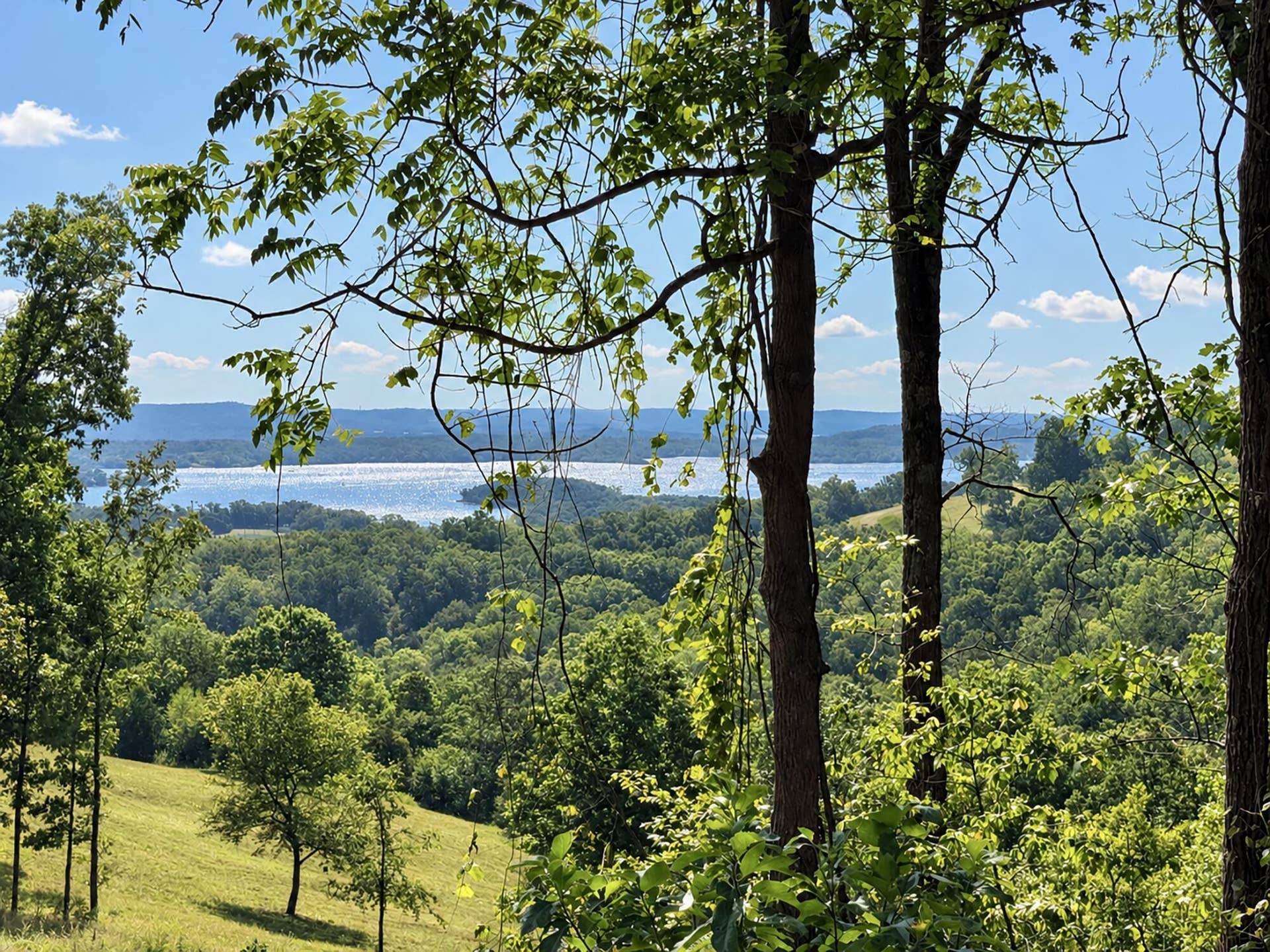 The View