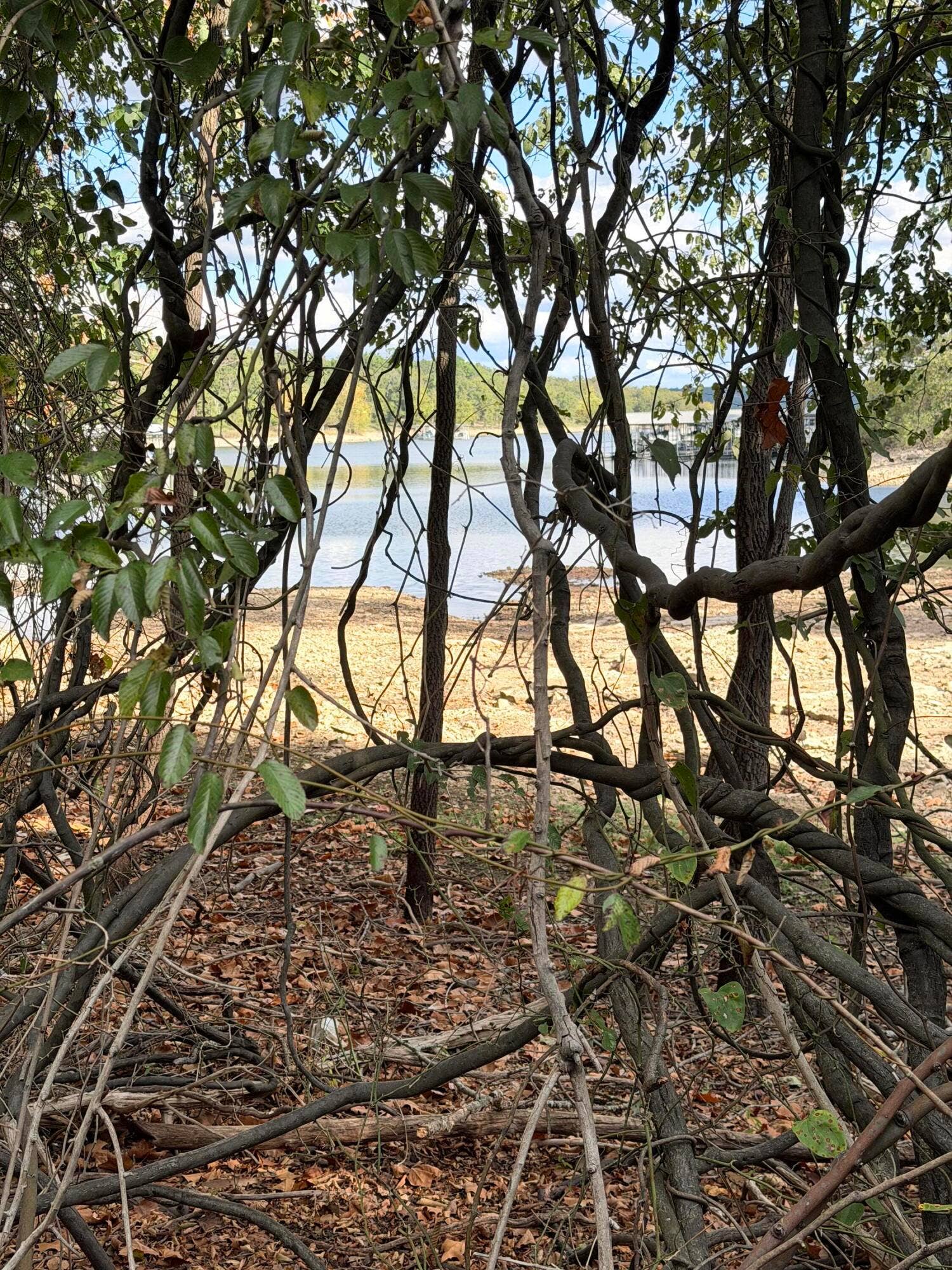 Behind home