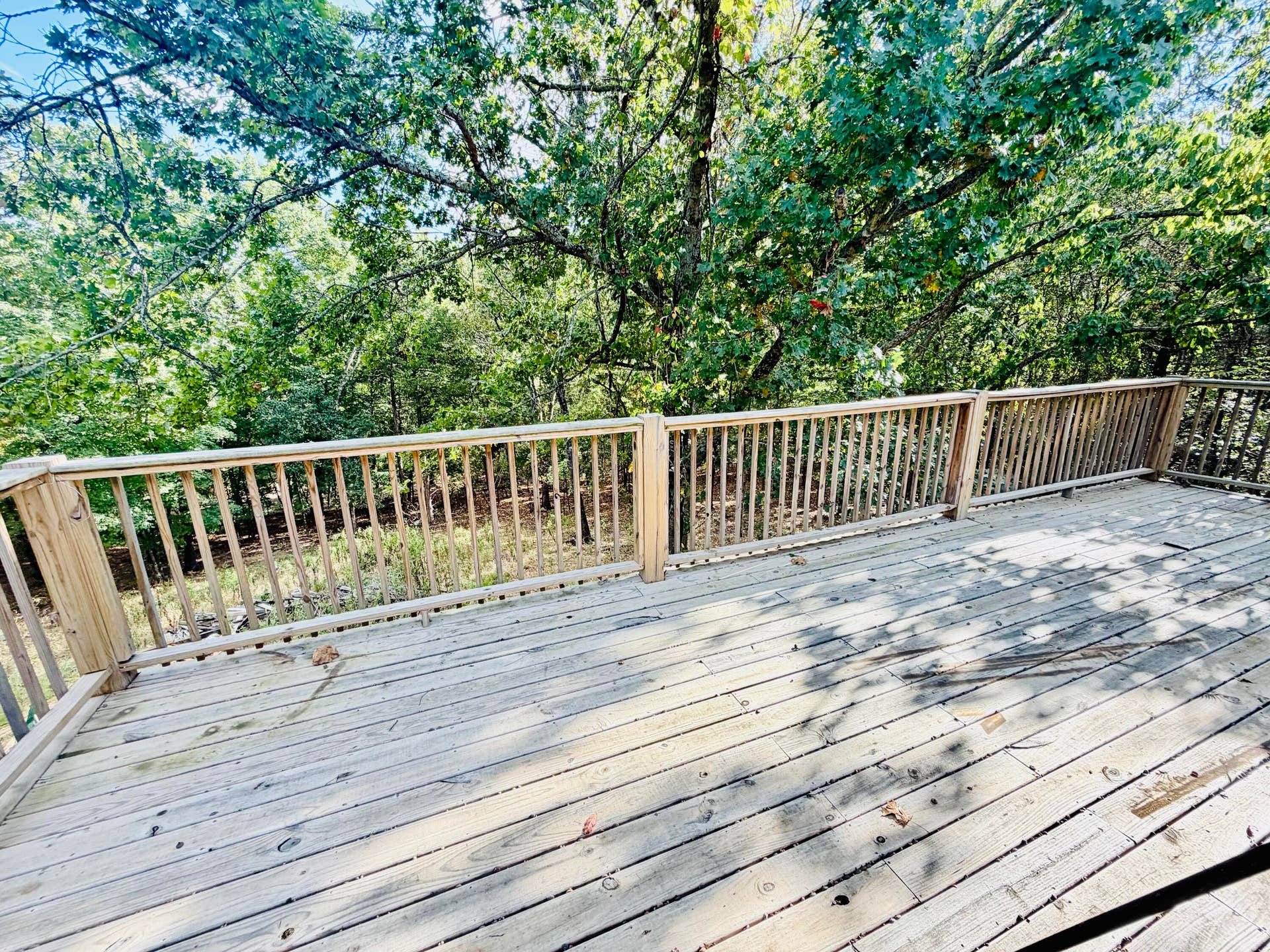Back Deck view