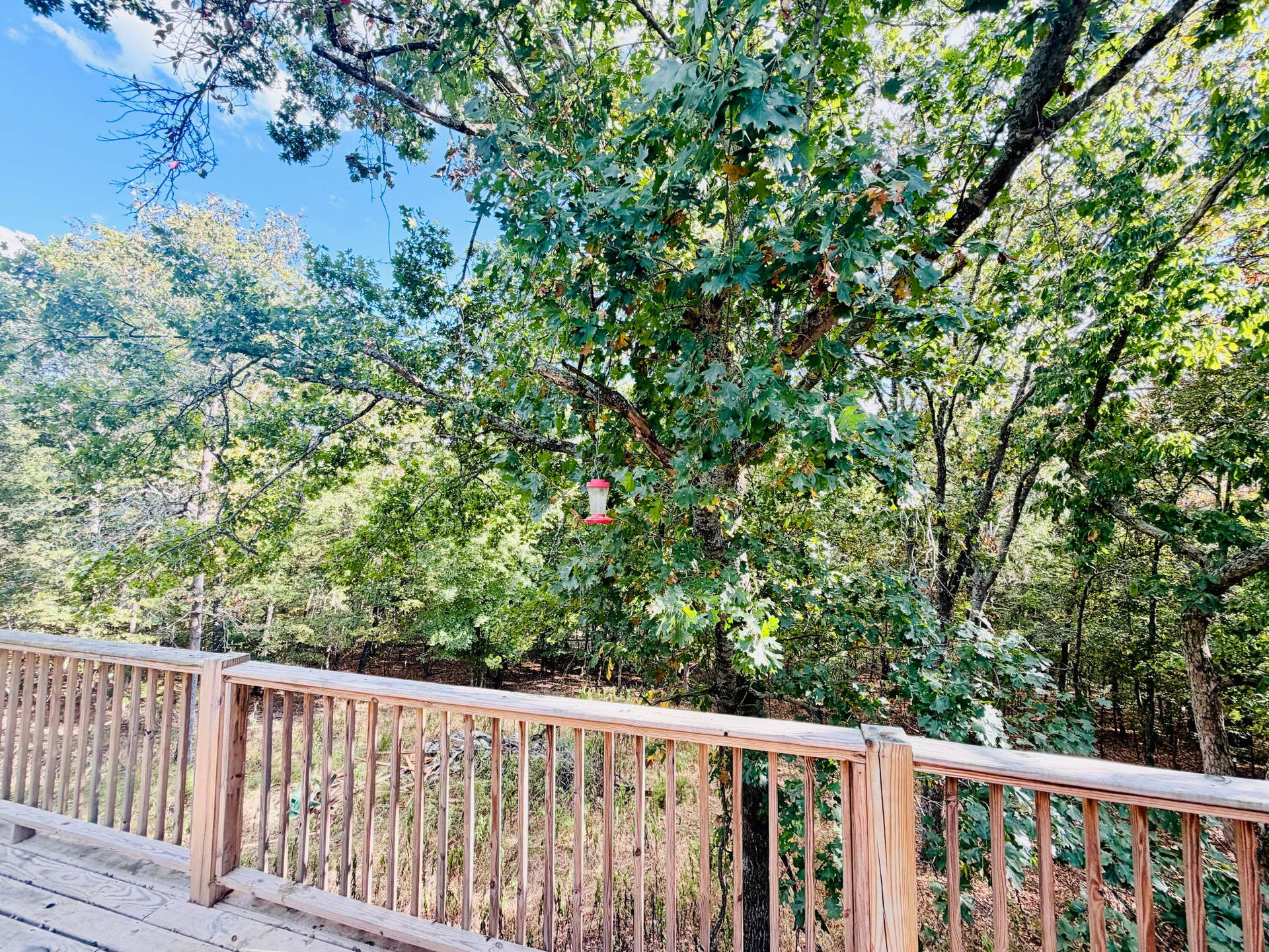 Back Deck View