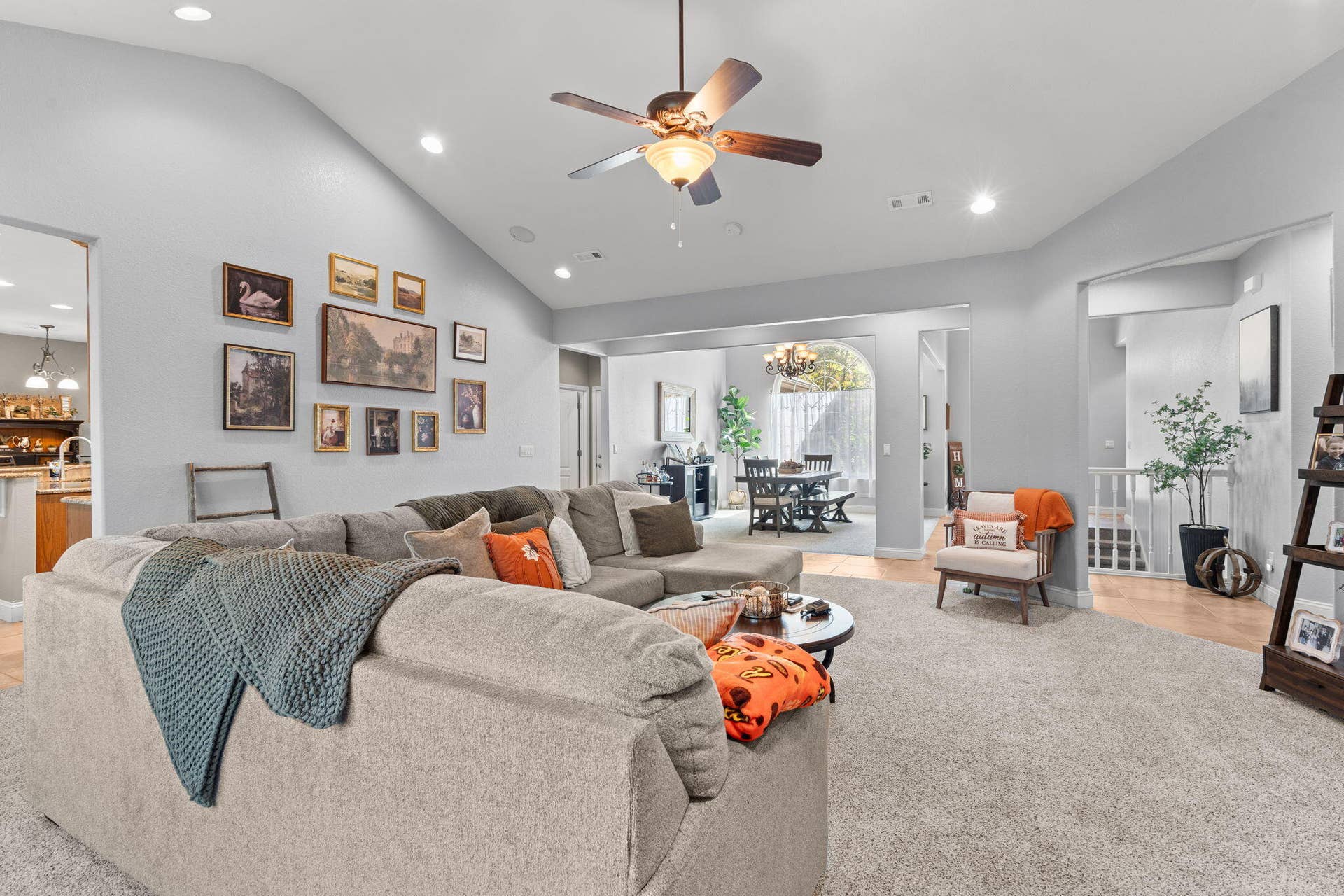 12-web-or-mls-DSC07169