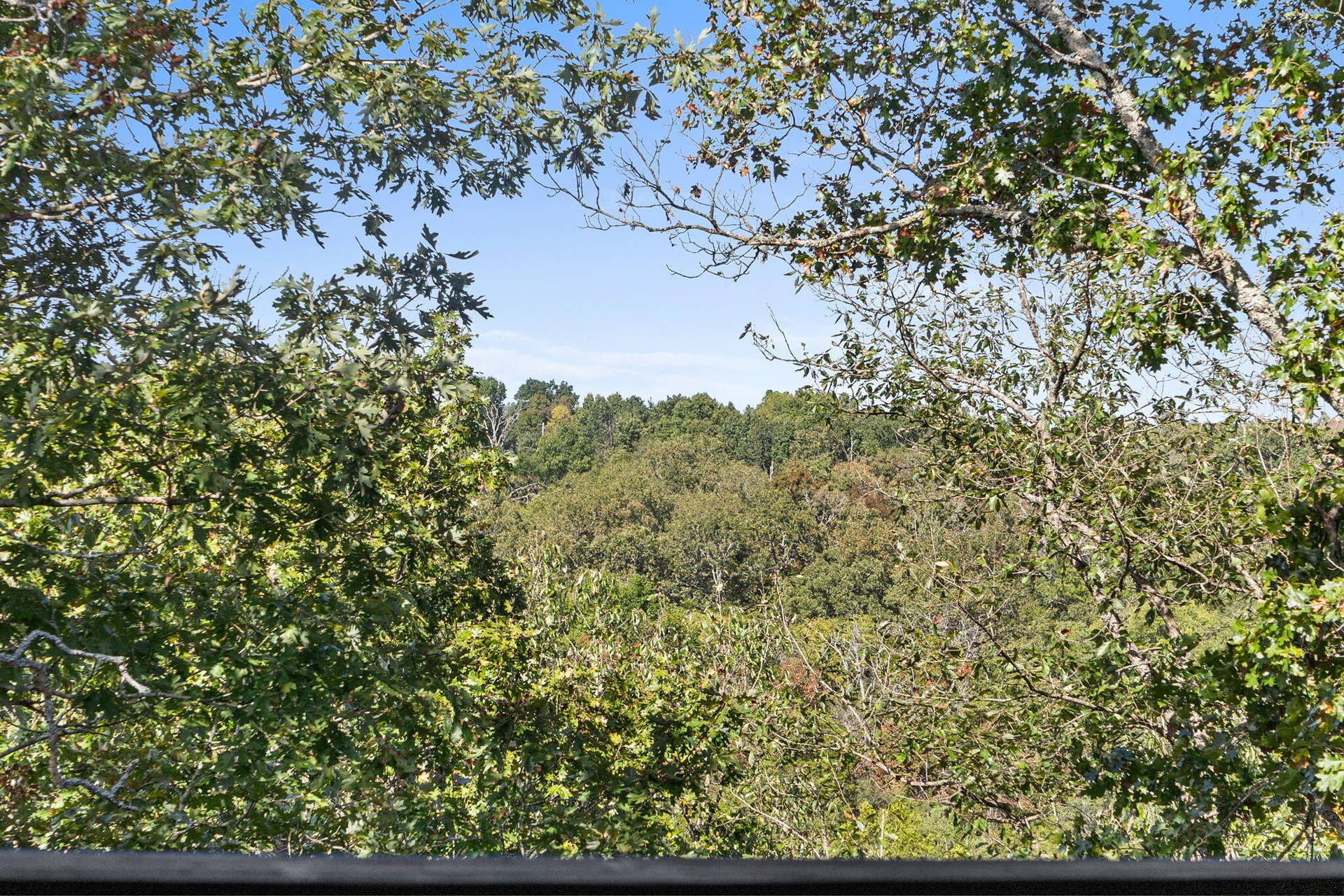 39-web-or-mls-DSC07286