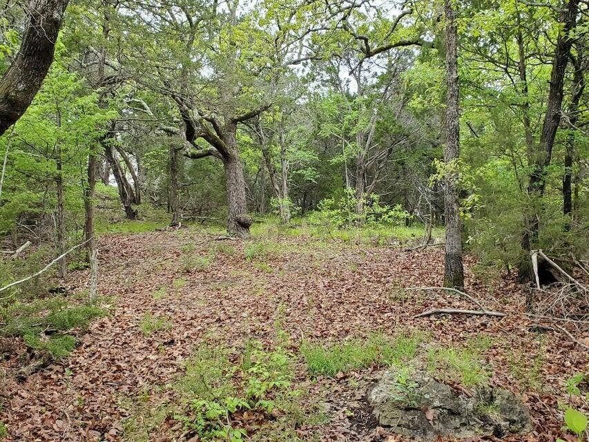 Flat Area Near Center of Lot