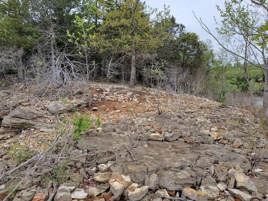 Lot View to North from Shore