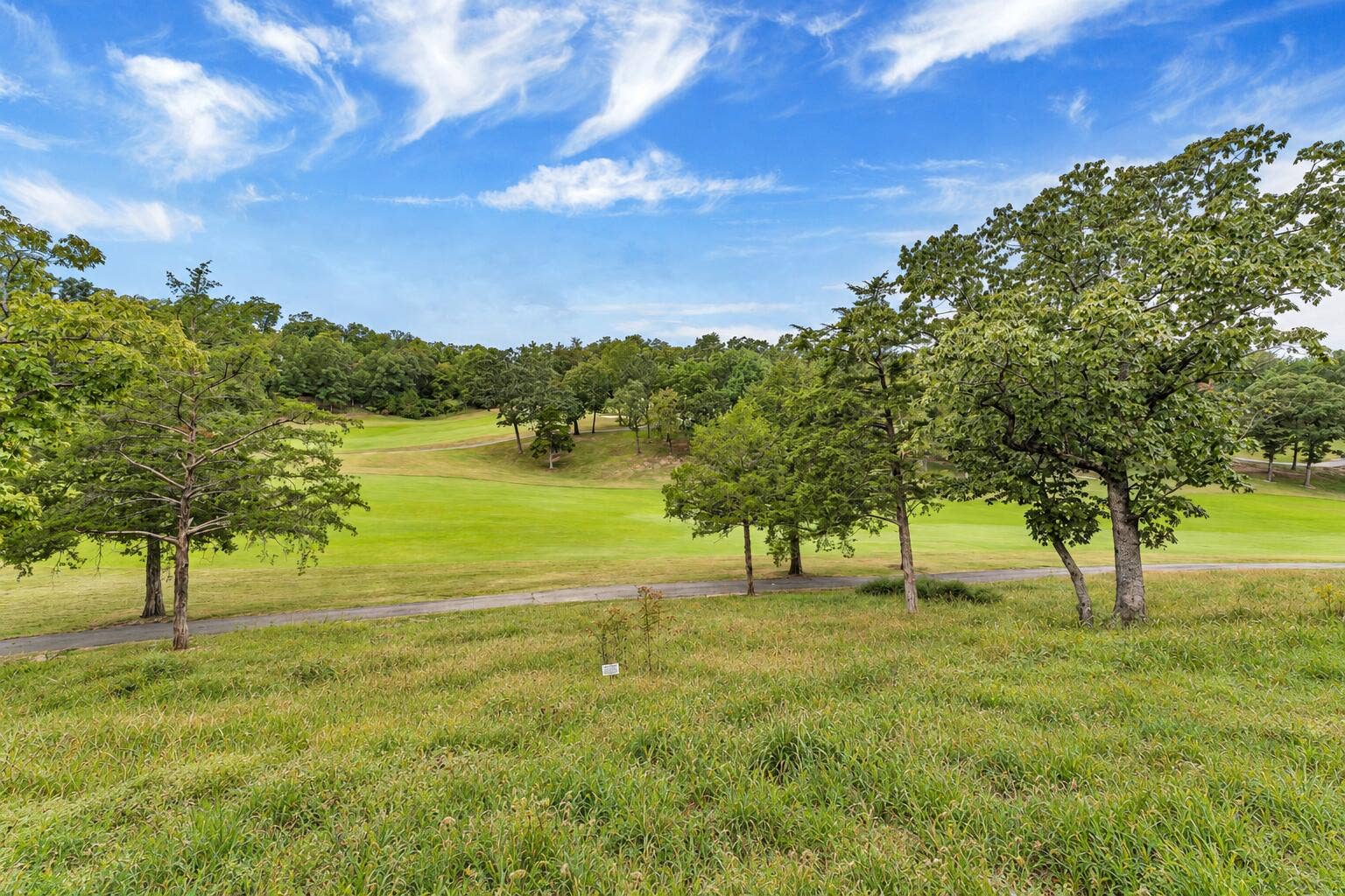 13th Green View