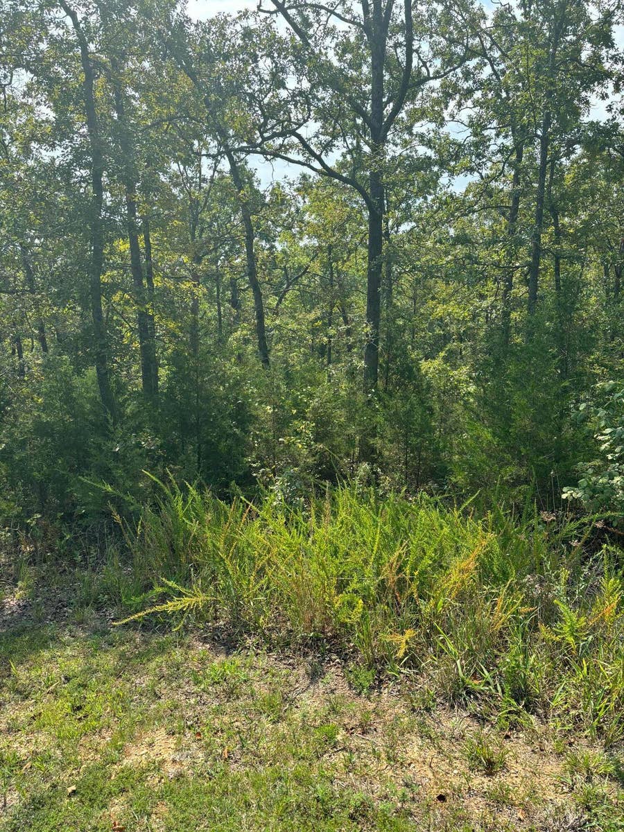 Property photo for Lot #3 Fox Hollow Road, Branson West, MO