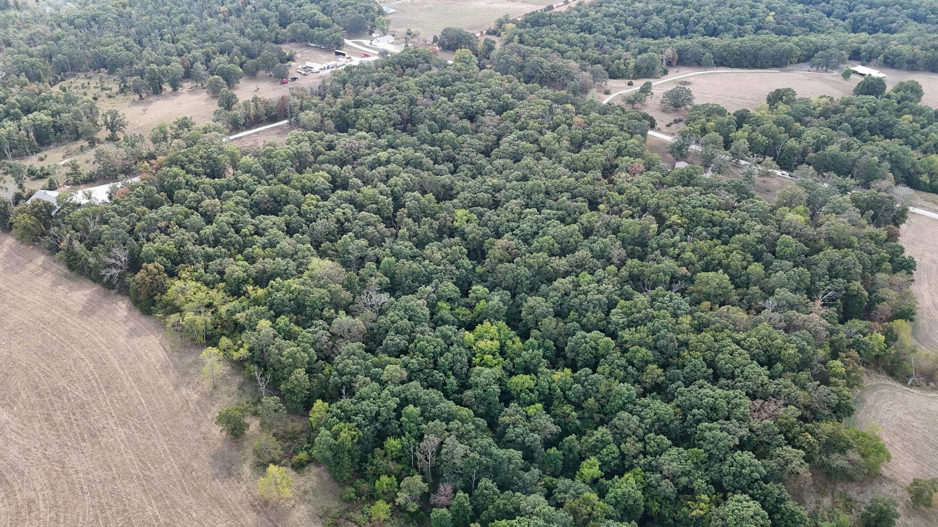 DJI_20250910155028_0449_D