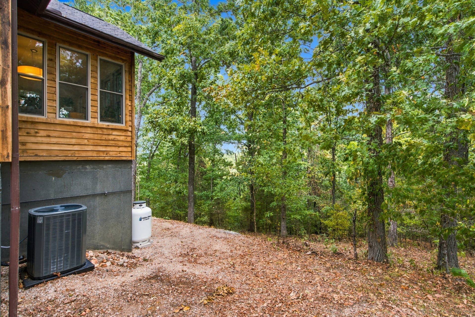 73 Turkey Trail Road, Blue Eye, MO 65611 38-web-or-mls-DSC08608