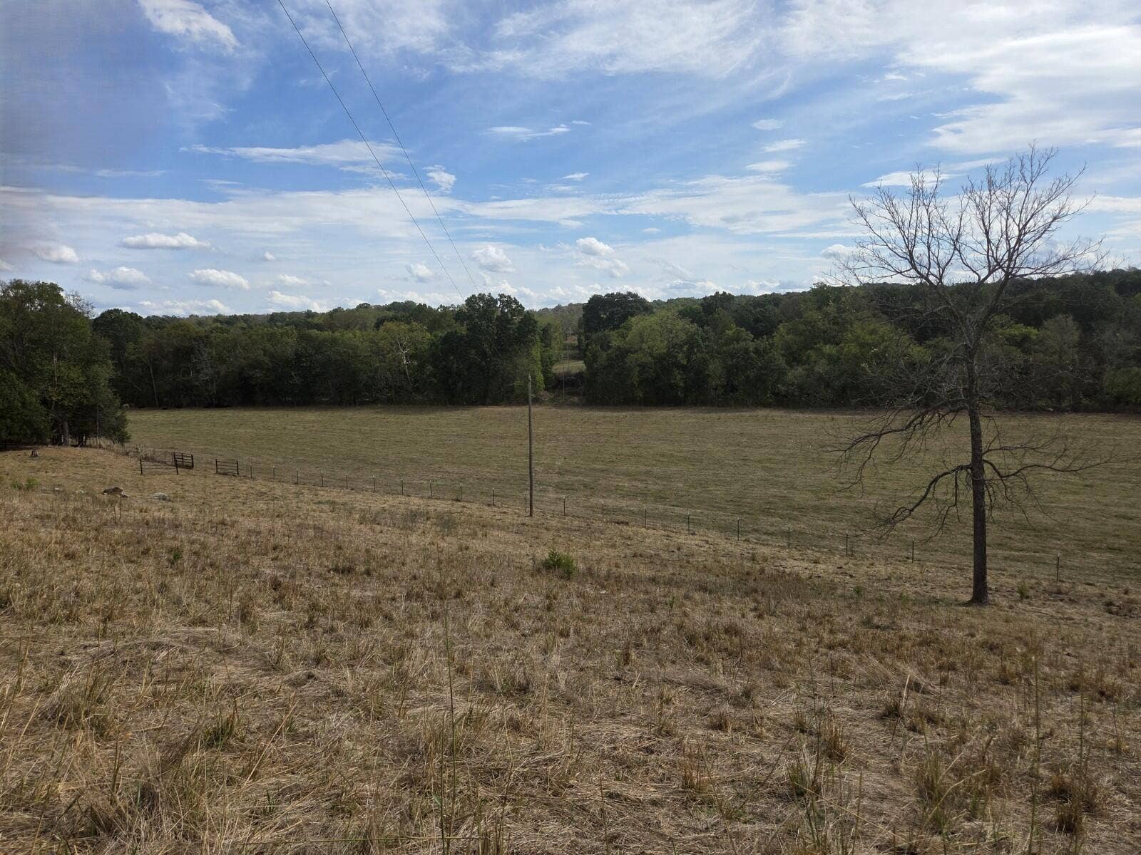 Tbd Cleveland Road, Houston, MO 65483 20261001_133444_copy_1600x1200