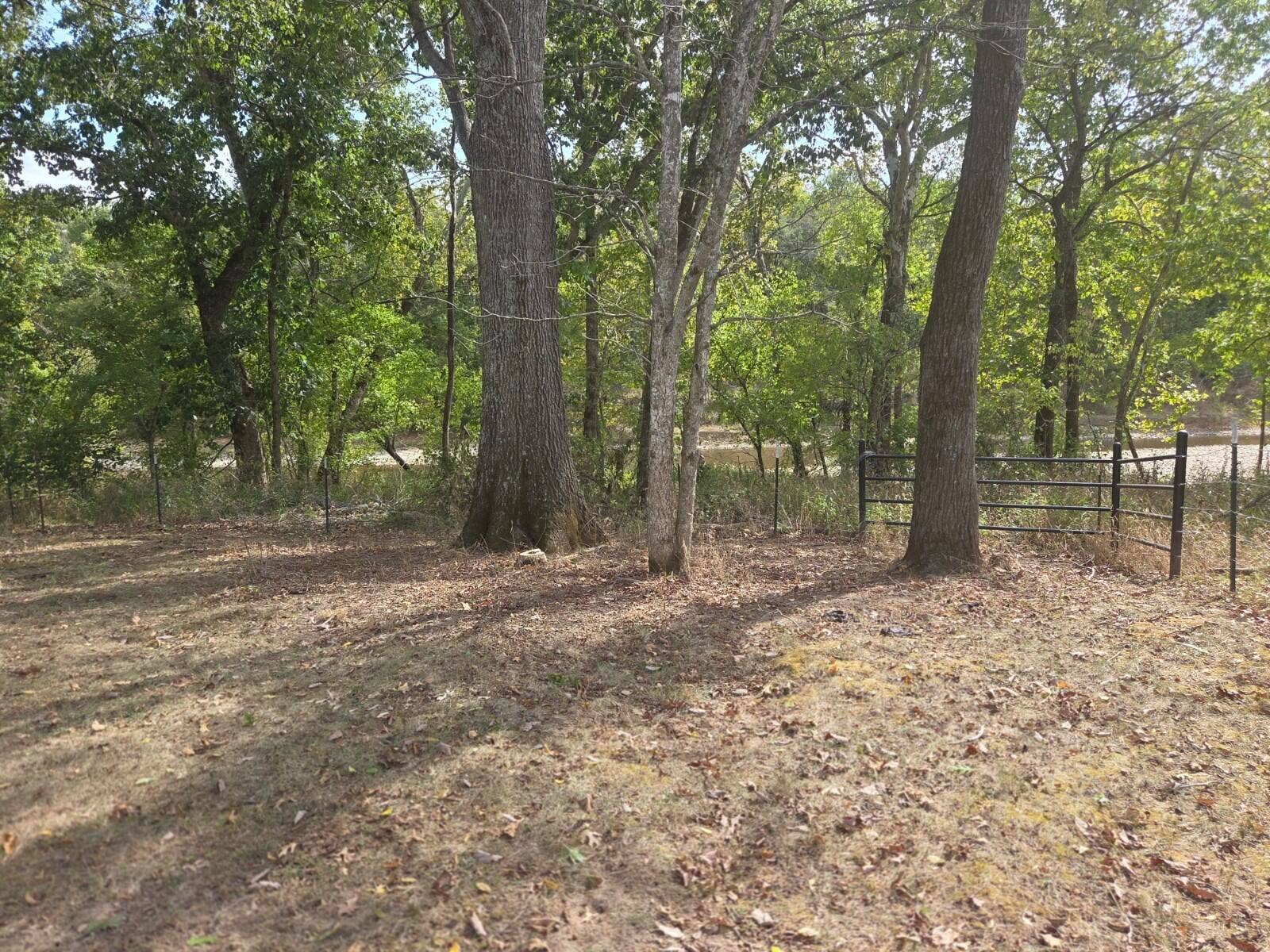 Tbd Cleveland Road, Houston, MO 65483 20261001_132940_copy_1600x1200