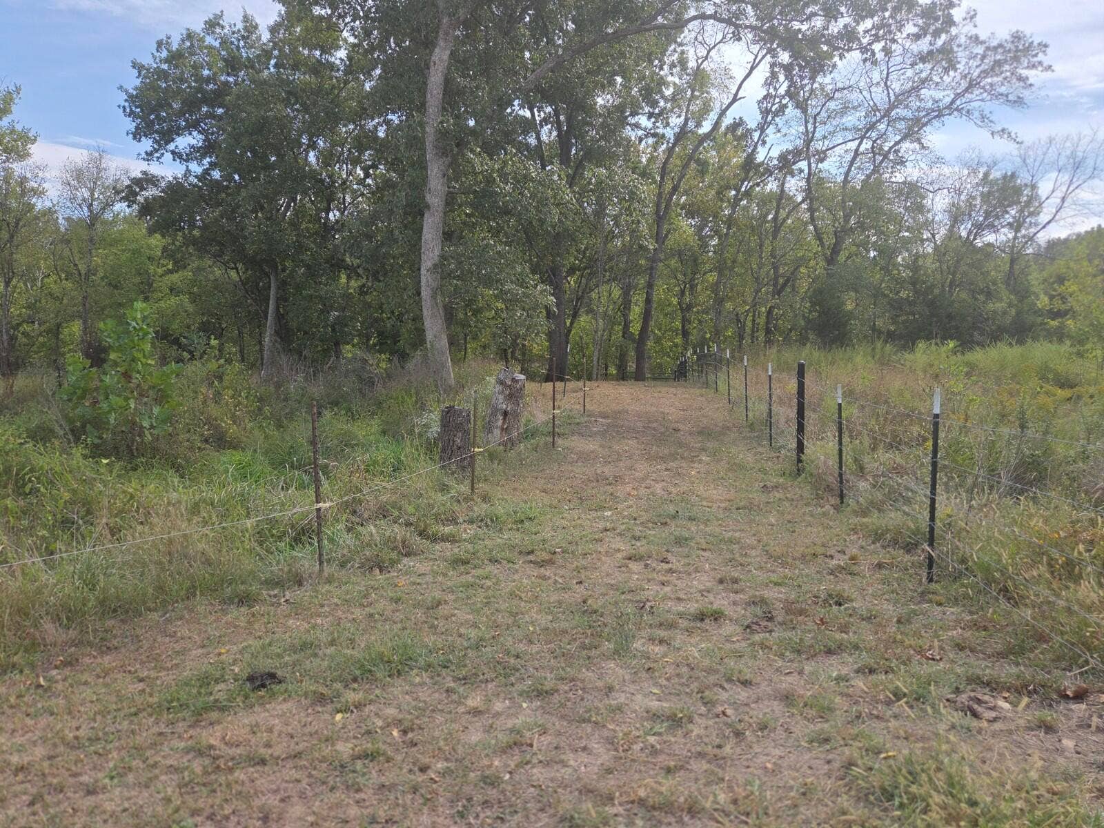 Tbd Cleveland Road, Houston, MO 65483 20261001_132911_copy_1600x1200