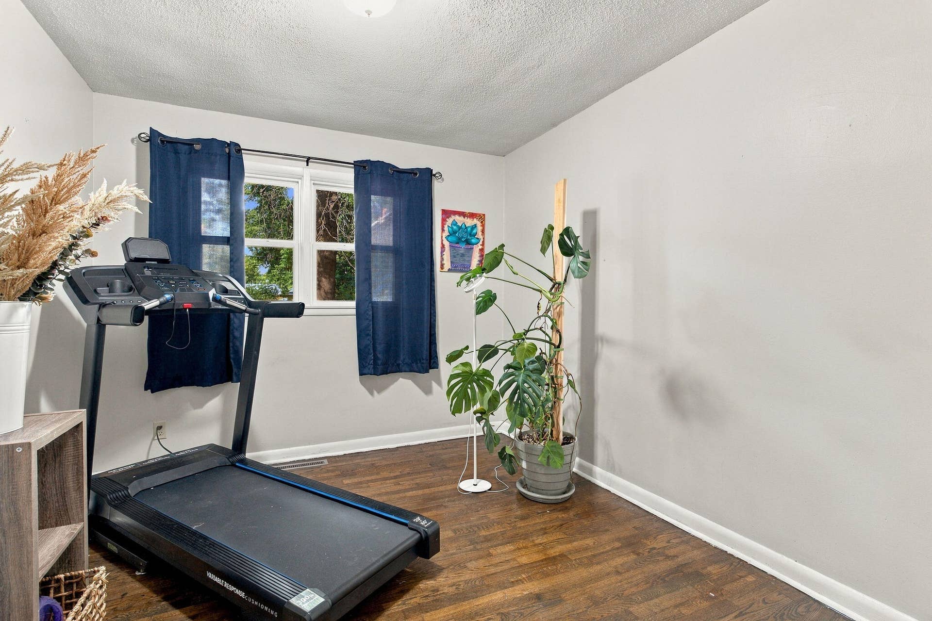 617 N Elmwood Avenue, Springfield, MO 65802 FrameandFocus_WEBorMLS-19