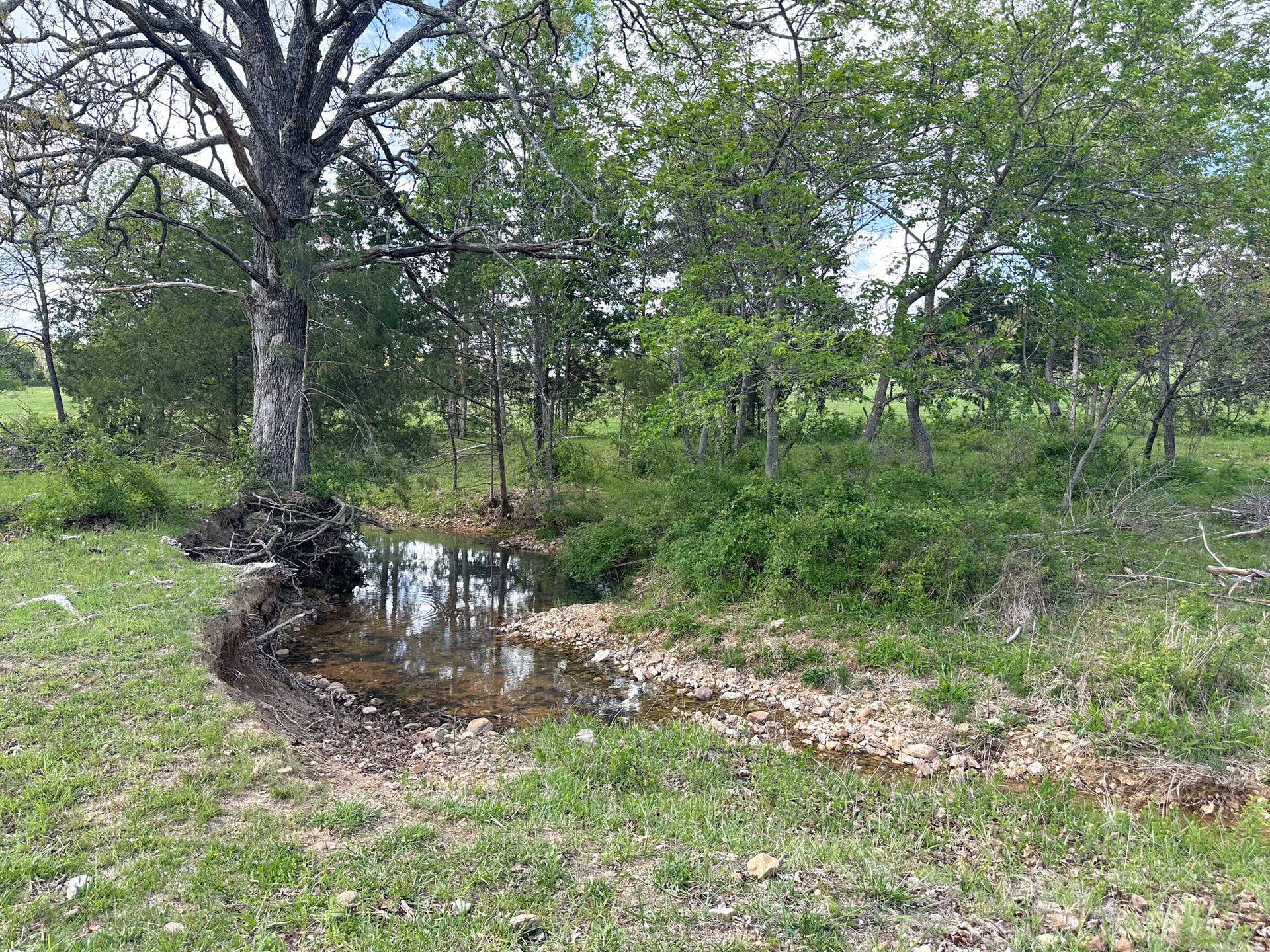 Creek
