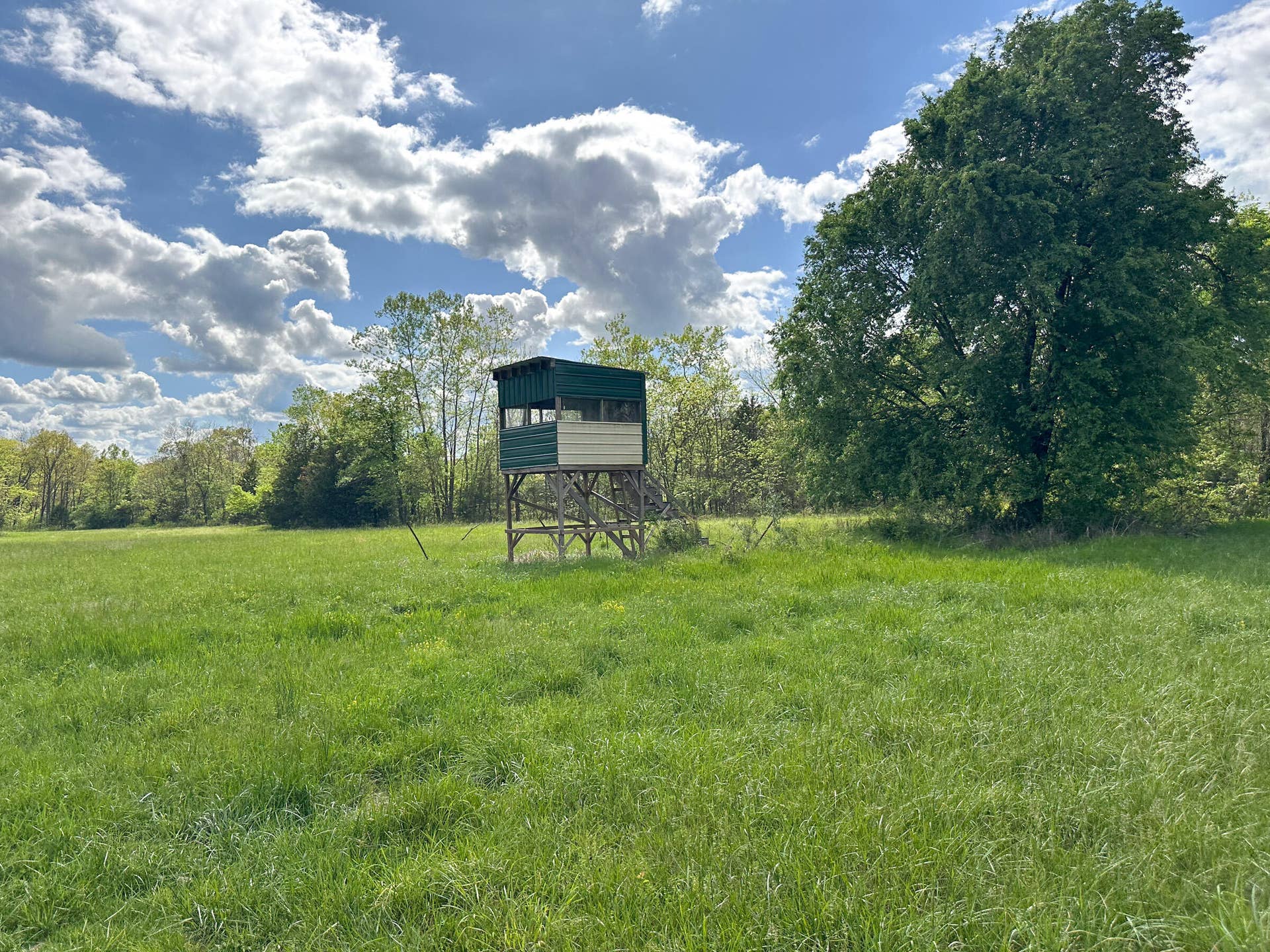 Hunting Blind