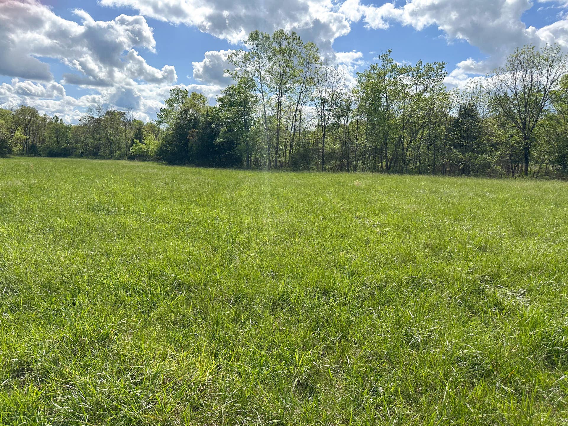 Pasture