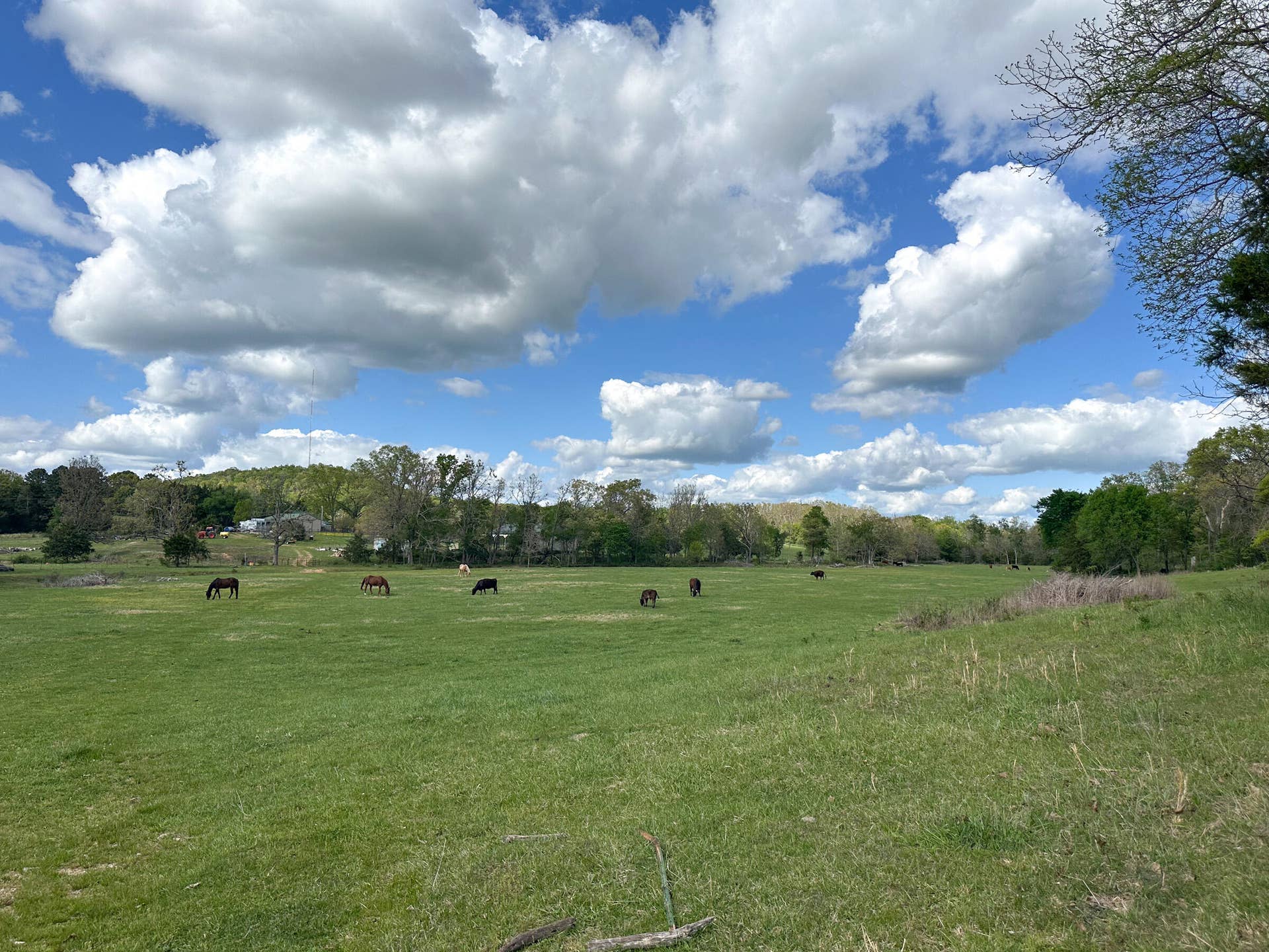 Missouri Farm for Sale