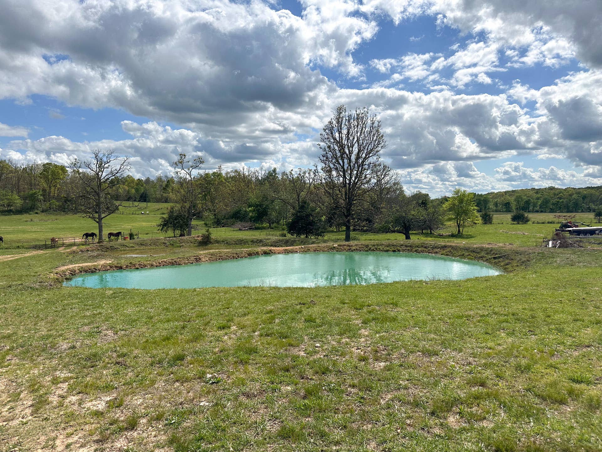 Pond
