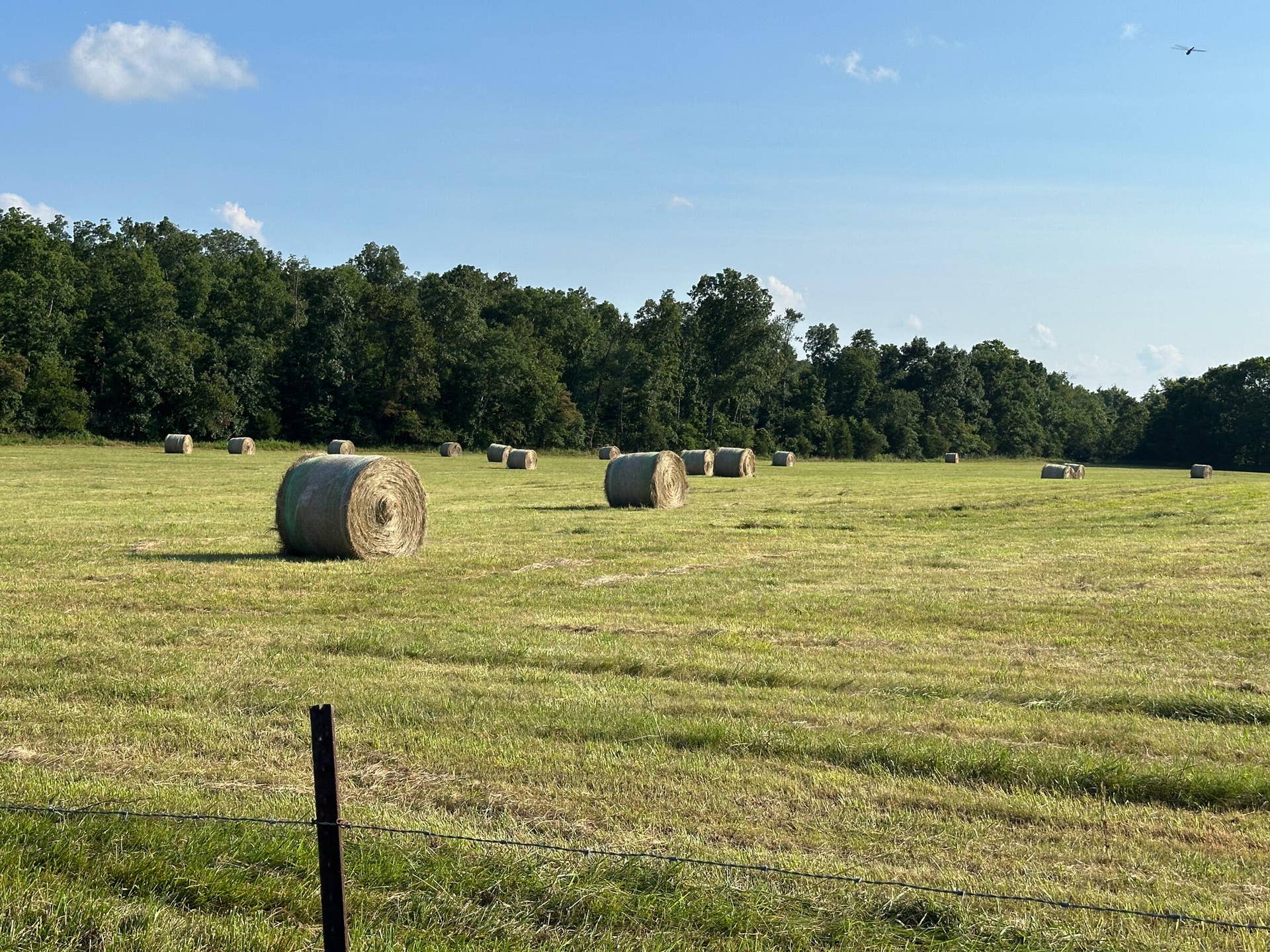 Missouri Farm for Sale
