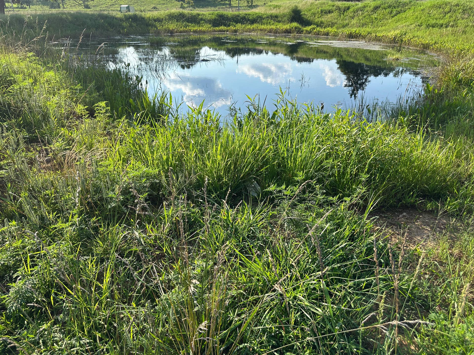 Ponds