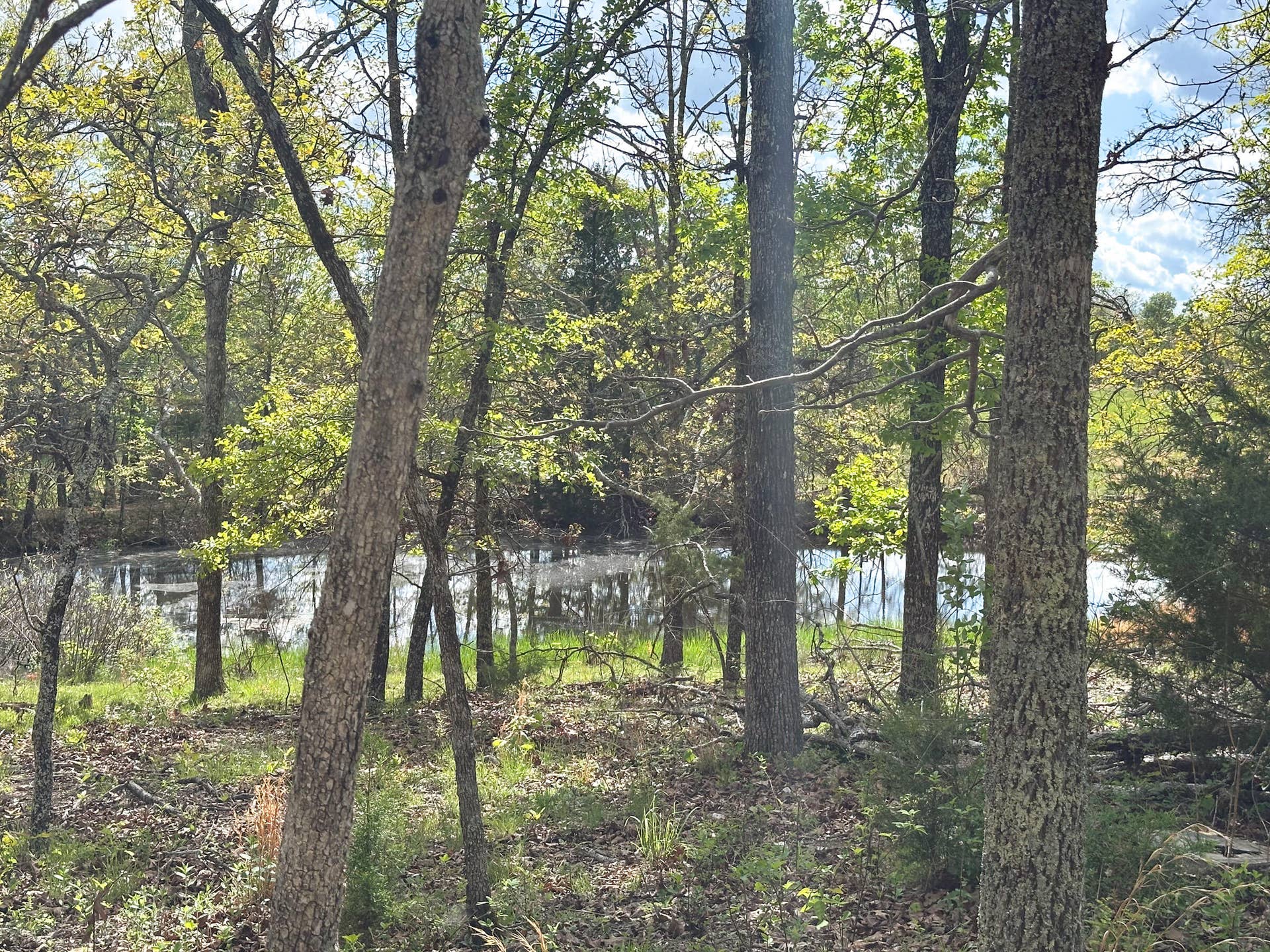 Pond