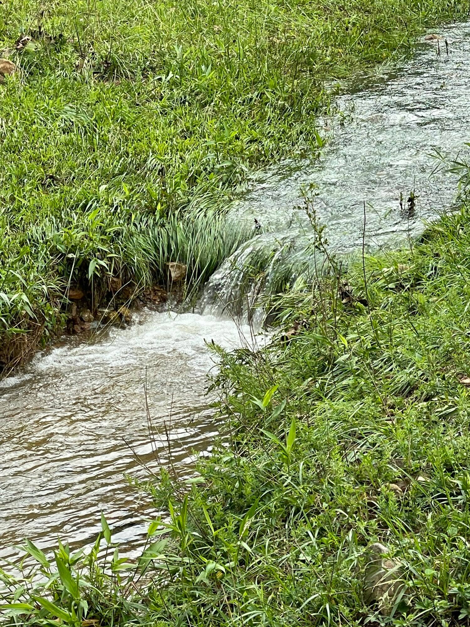 Seasonal Creek