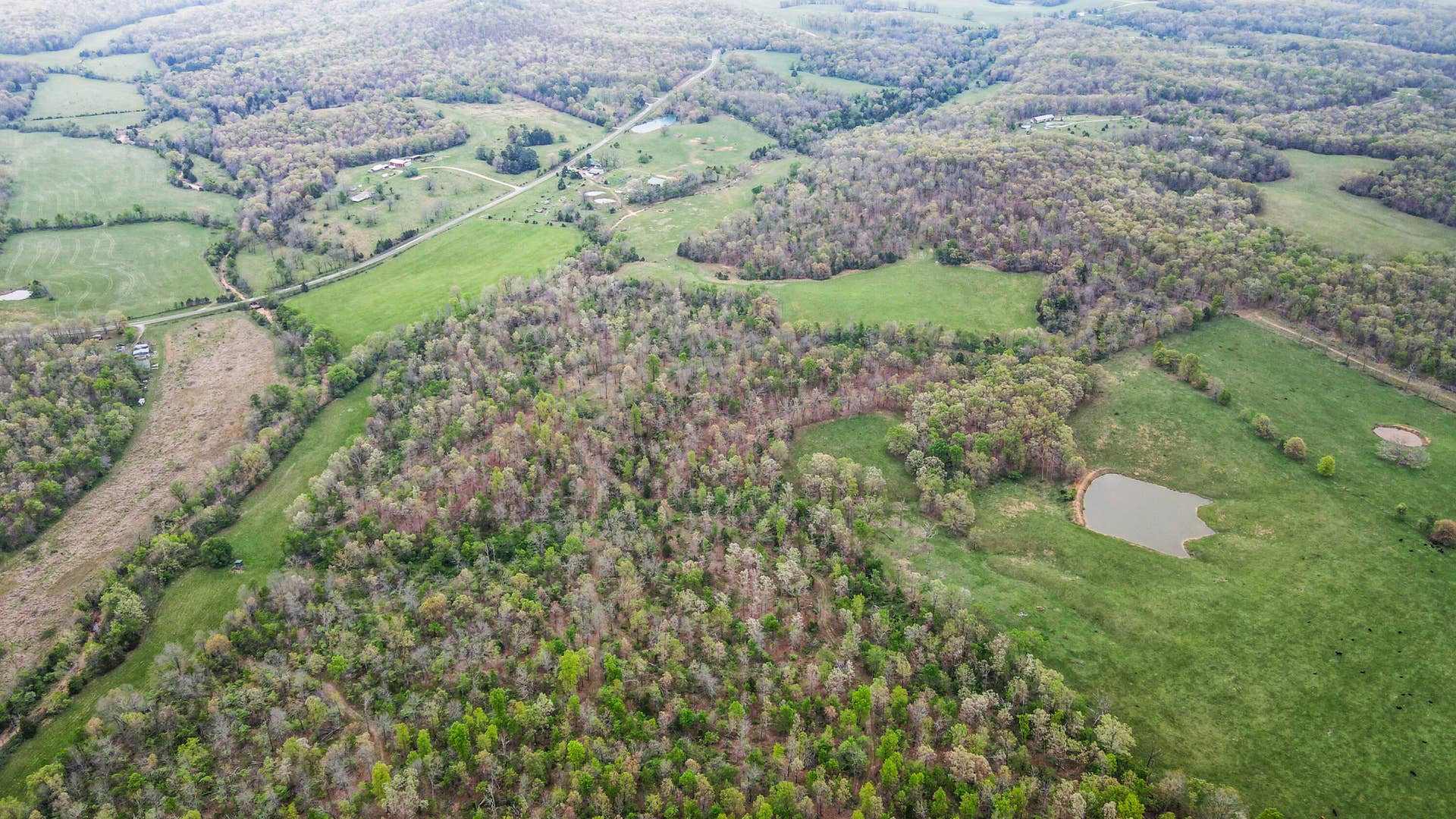 drone from back