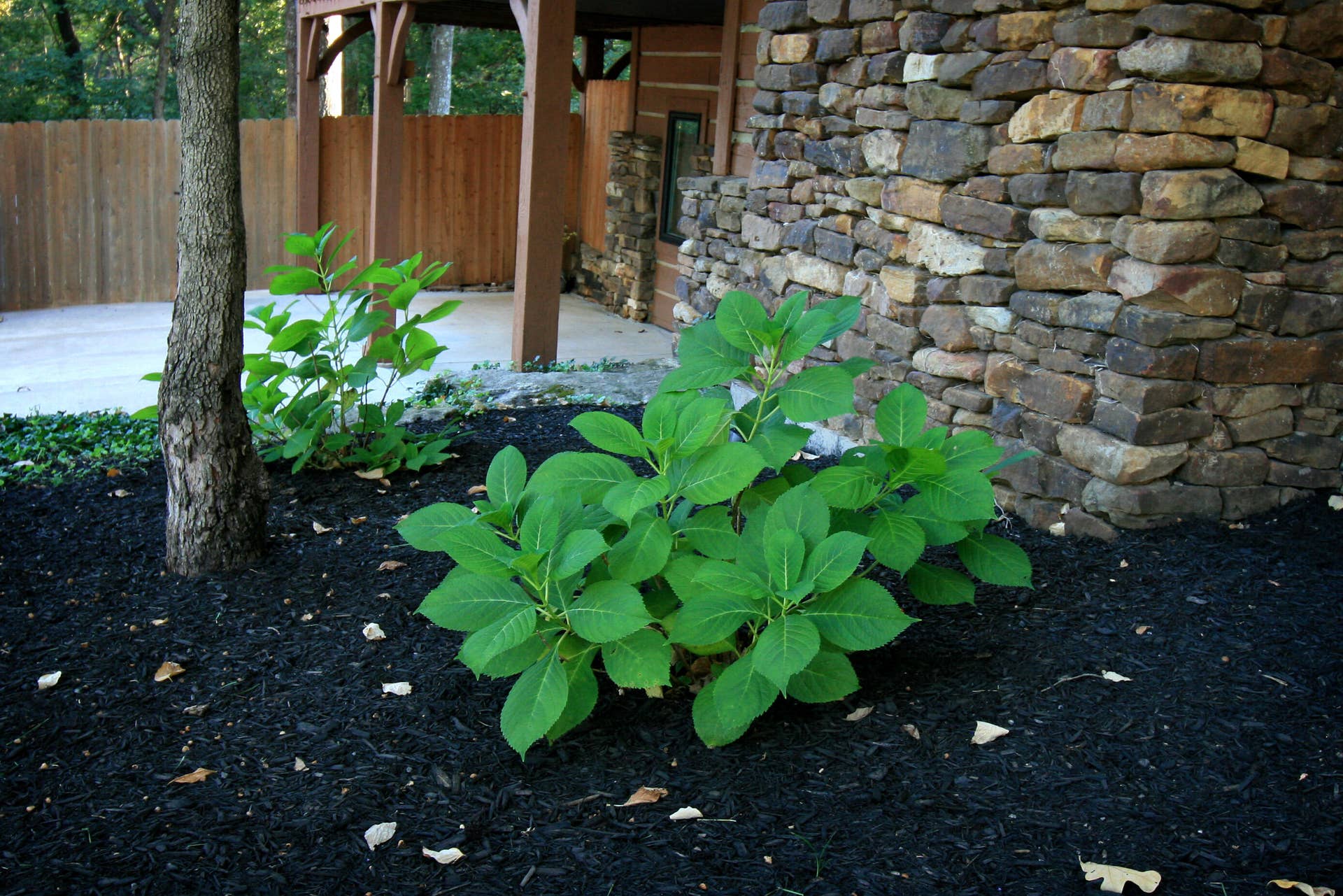 1446 S Oak Hill Court, Nixa, MO 65714 landscaping