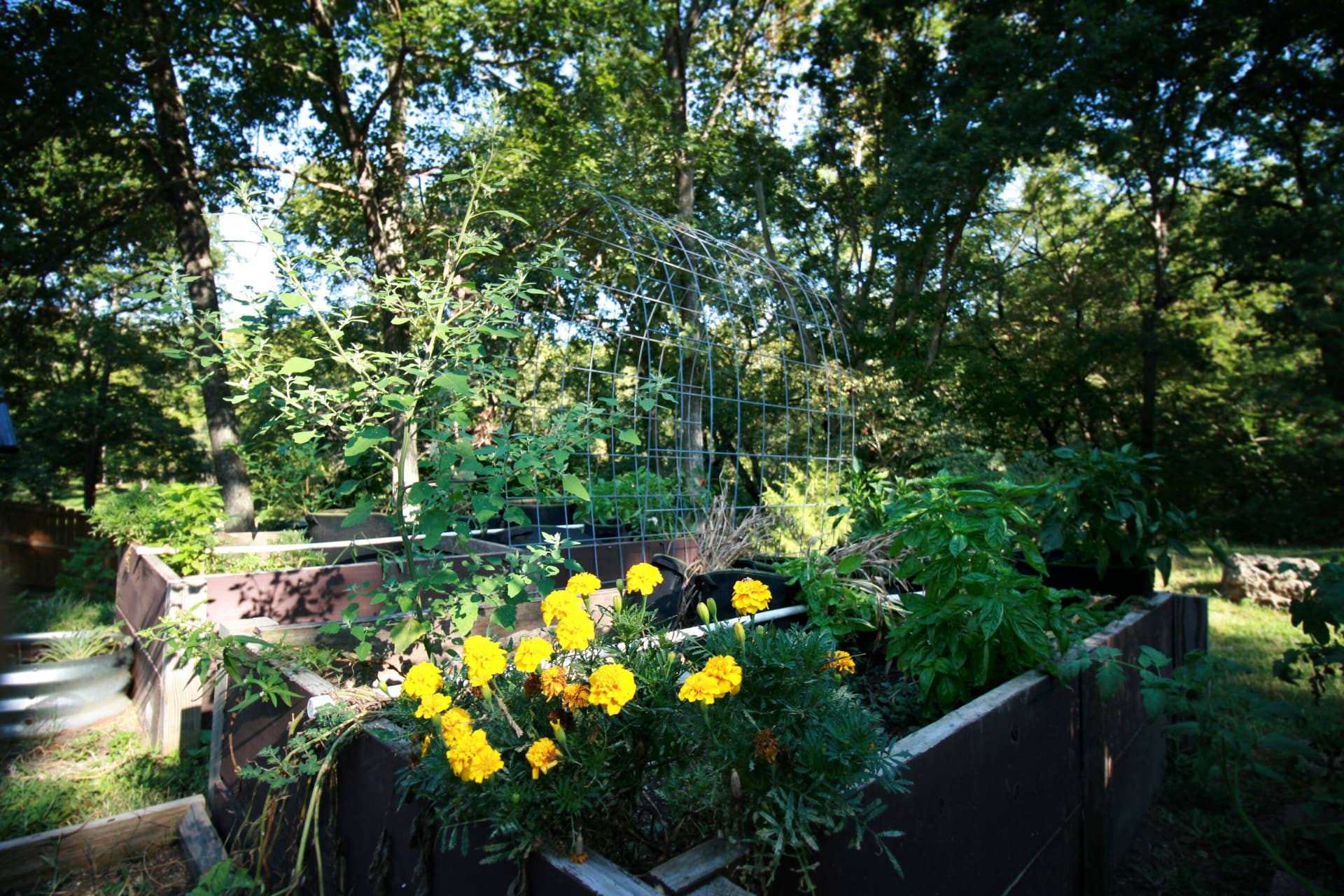 1446 S Oak Hill Court, Nixa, MO 65714 garden beds