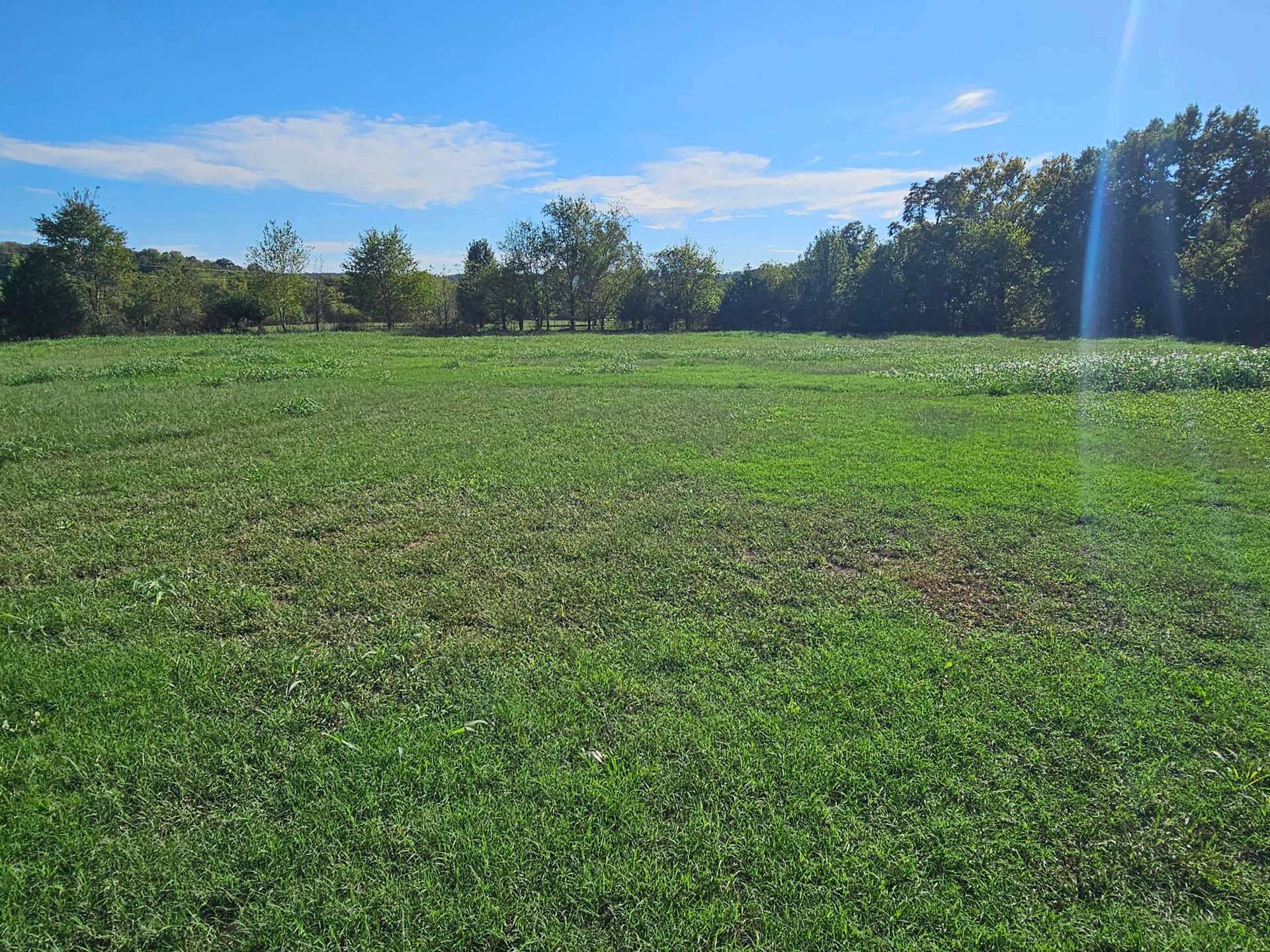 205 Franklin Road, Anderson, MO 64831 tomlinson pic-d-pasture