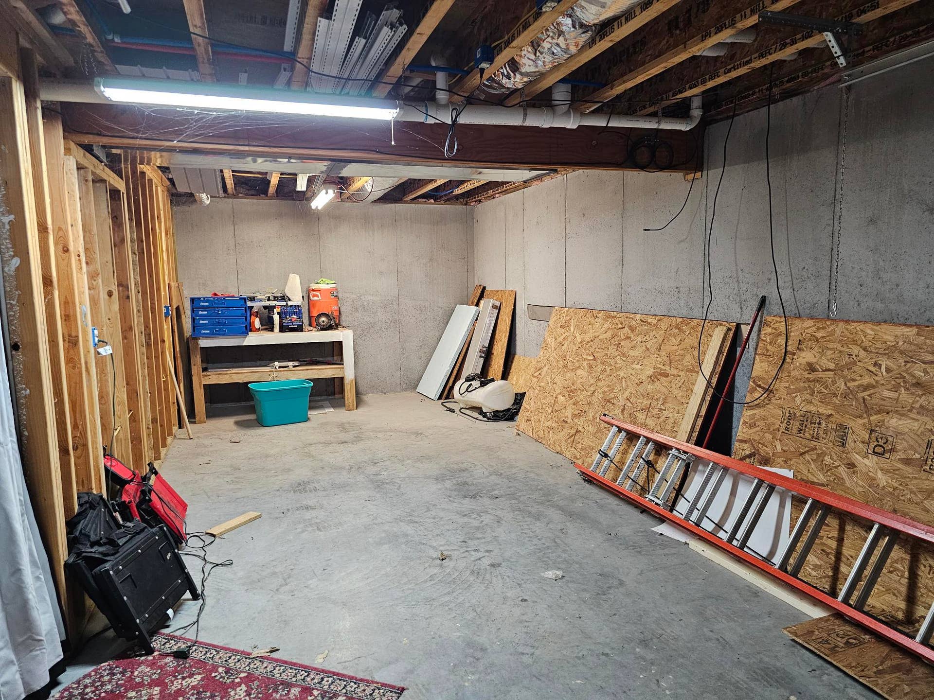 205 Franklin Road, Anderson, MO 64831 tomlinson pic-basement 5