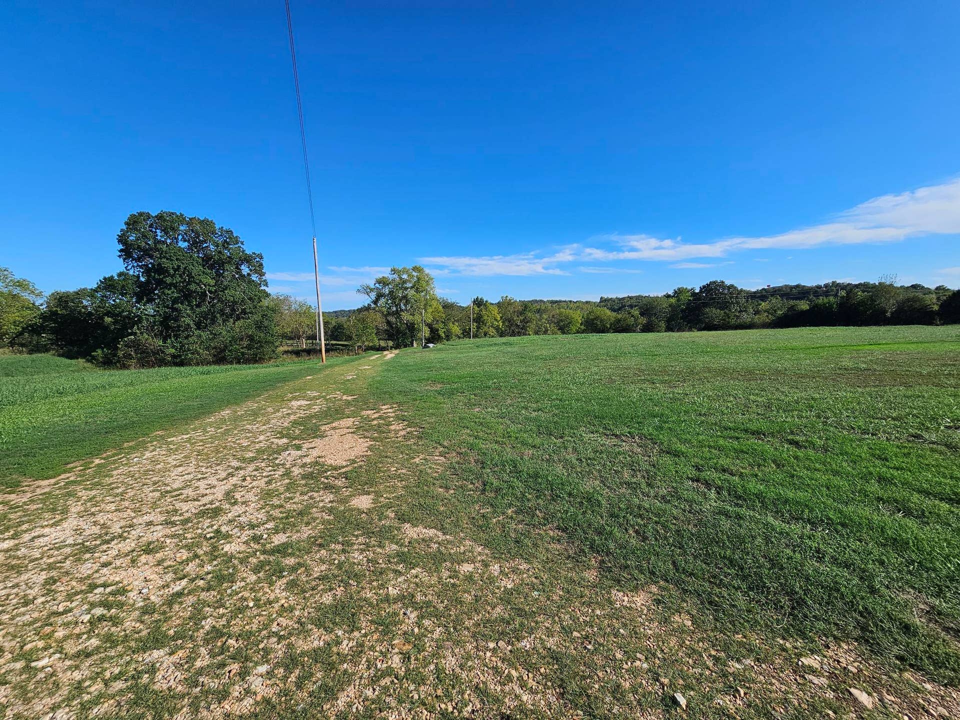 205 Franklin Road, Anderson, MO 64831 tomlinson pic-driveway