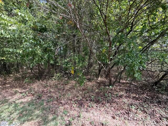 0 Walnut Circle, Flemington, MO 65650 IMG_7673