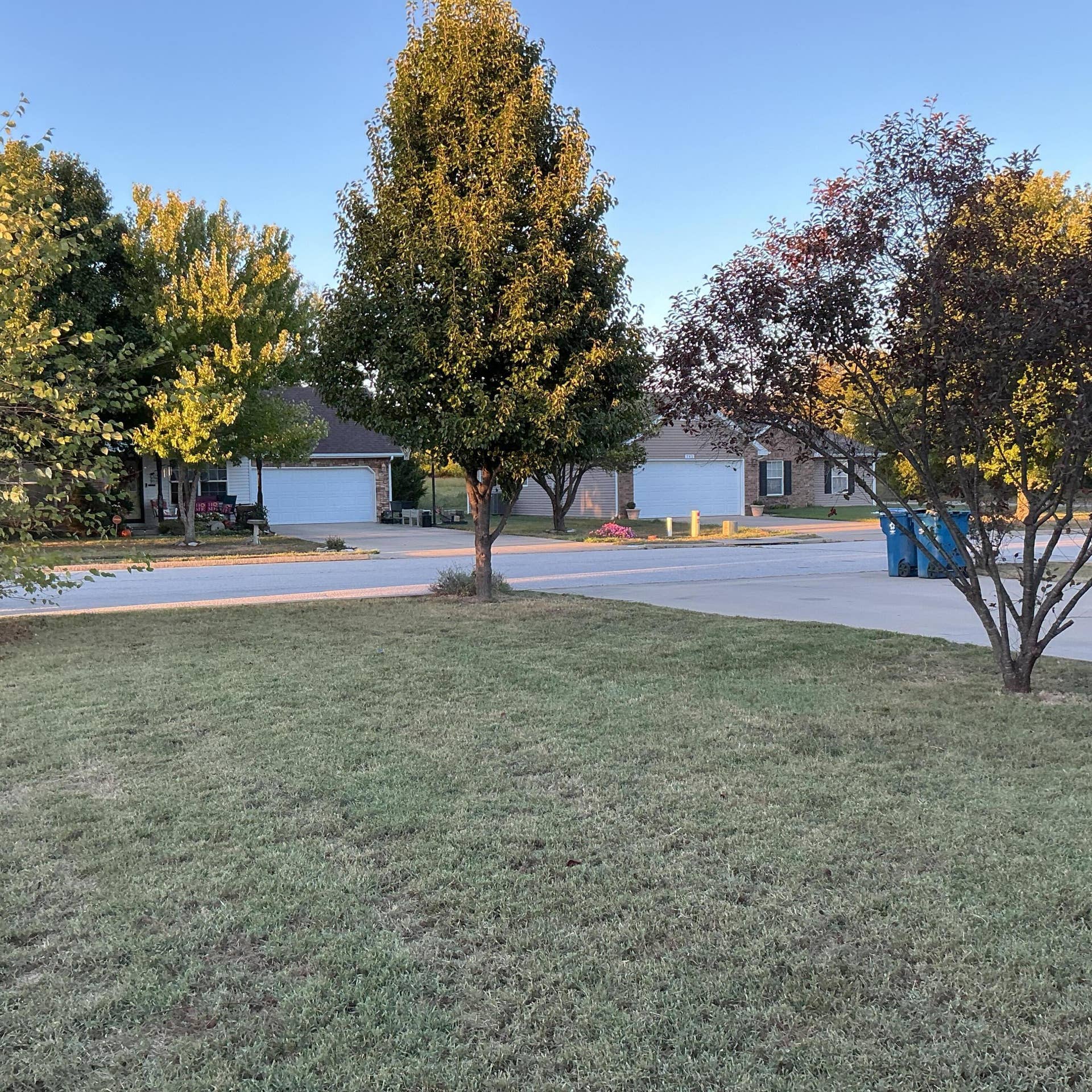 780 E Laird Street, Bolivar, MO 65613 IMG_0995
