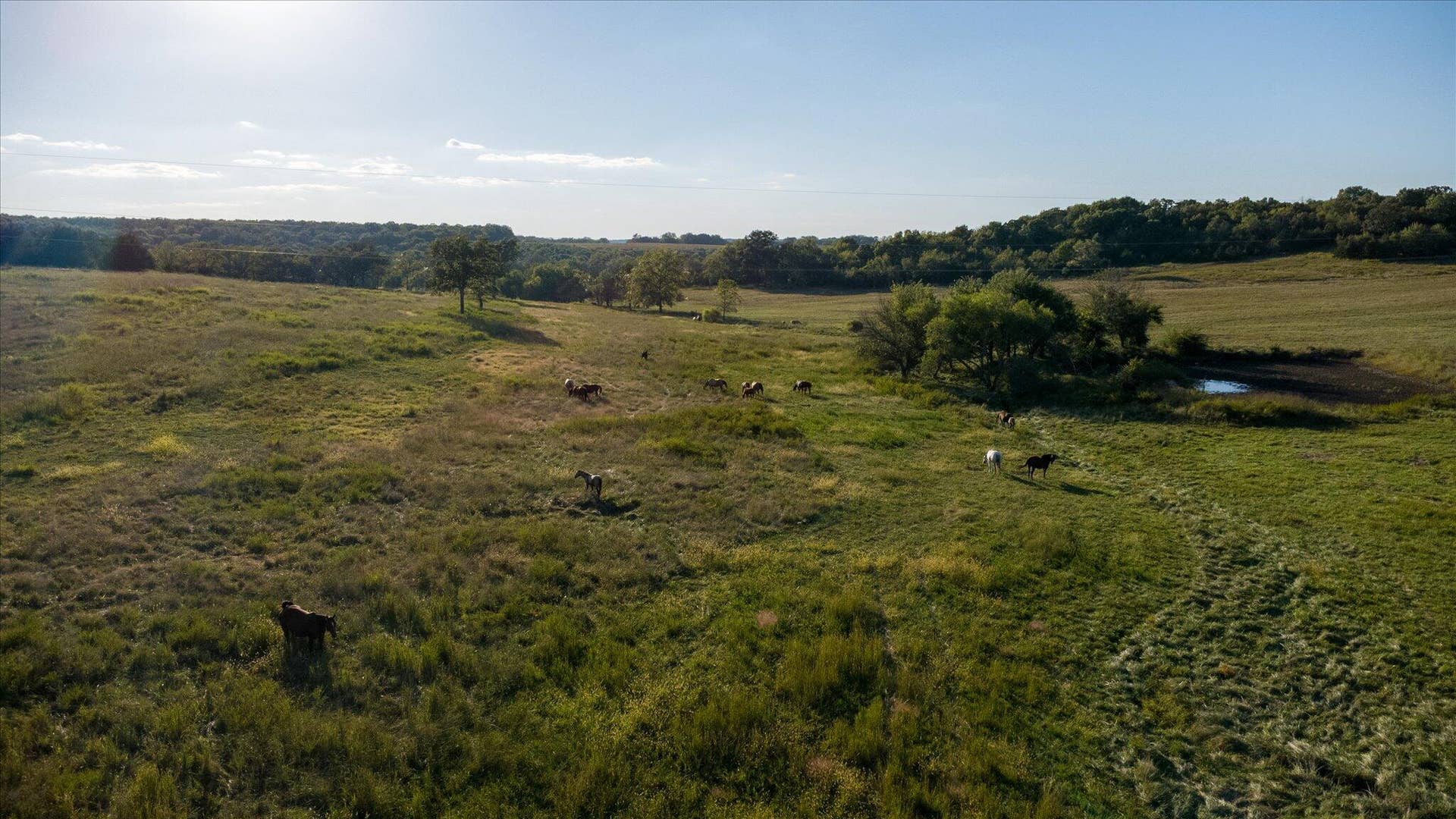 11998 E Highway 32, Stockton, MO 65785 091-DJI_0888-HDR