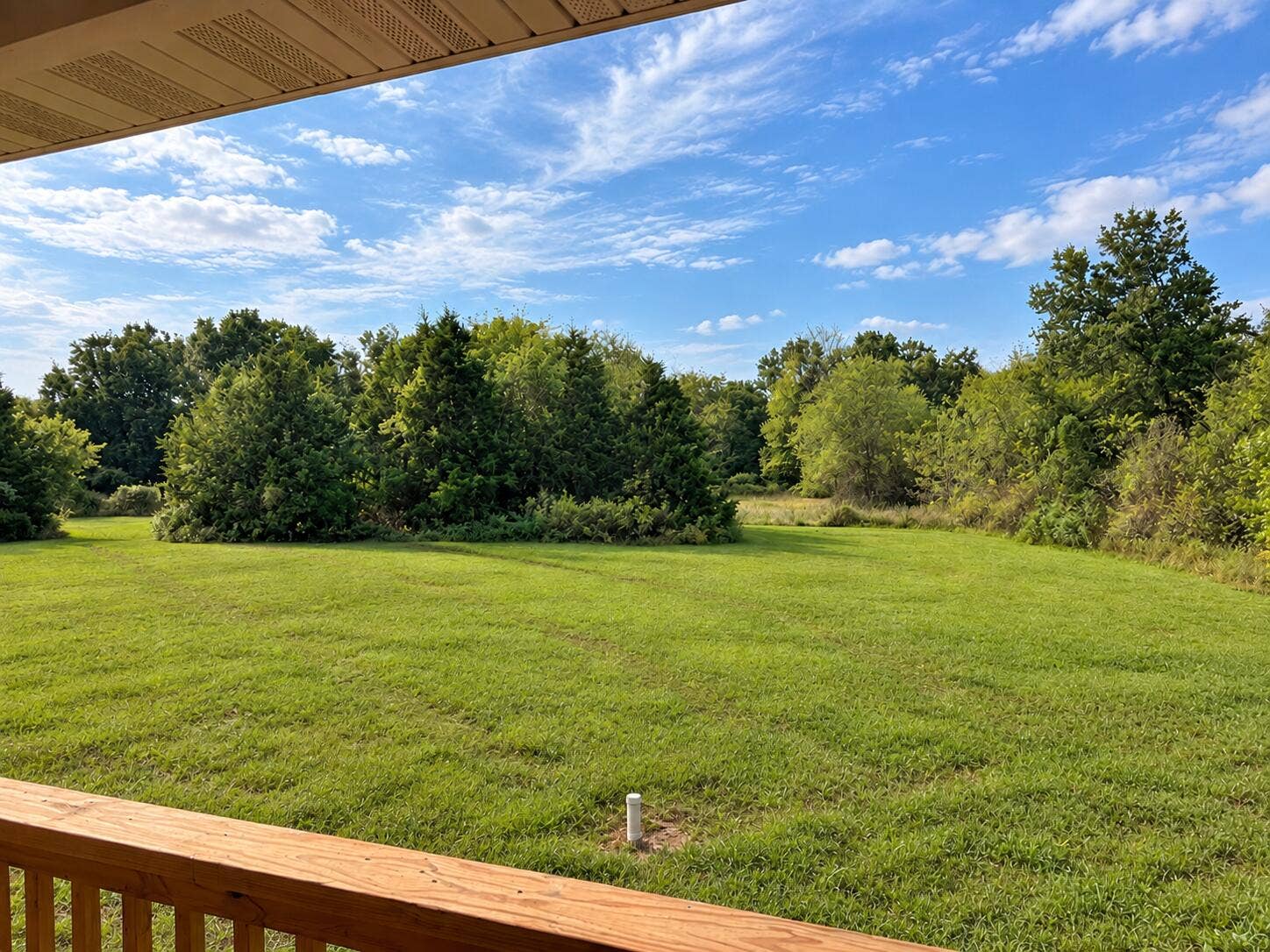 235 Sandy Forest Lane, Clever, MO 65631 back porch