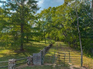 13462 County Road Y-521, Ava, MO 65608 20260921191718739205000000