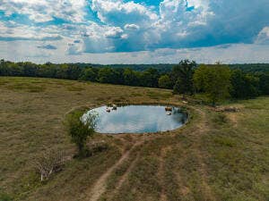 13462 County Road Y-521, Ava, MO 65608 20260921190814199770000000
