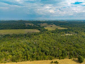 13462 County Road Y-521, Ava, MO 65608 20260921190441918810000000