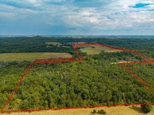 13462 County Road Y-521, Ava, MO 65608 20260921190445079864000000