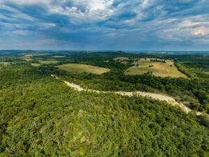 13462 County Road Y-521, Ava, MO 65608 20260921190535826828000000