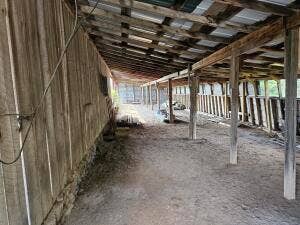 13462 County Road Y-521, Ava, MO 65608 20260917174219059022000000