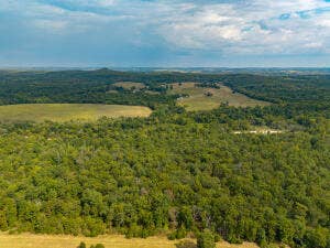 13462 County Road Y-521, Ava, MO 65608 20260921190502546676000000