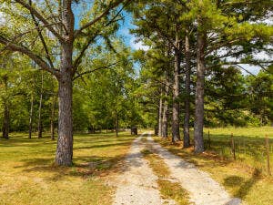 13462 County Road Y-521, Ava, MO 65608 20260921191534273447000000