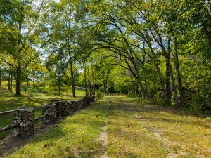 13462 County Road Y-521, Ava, MO 65608 20260921191741850348000000
