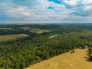 13462 County Road Y-521, Ava, MO 65608 20260921190427350700000000