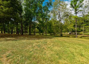 13462 County Road Y-521, Ava, MO 65608 20260921191509592296000000