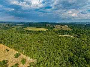 13462 County Road Y-521, Ava, MO 65608 20260921190519817472000000
