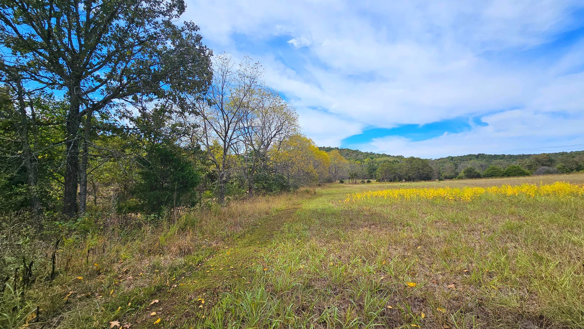 30349 County Road V-234, Drury, MO 65638 Pasture